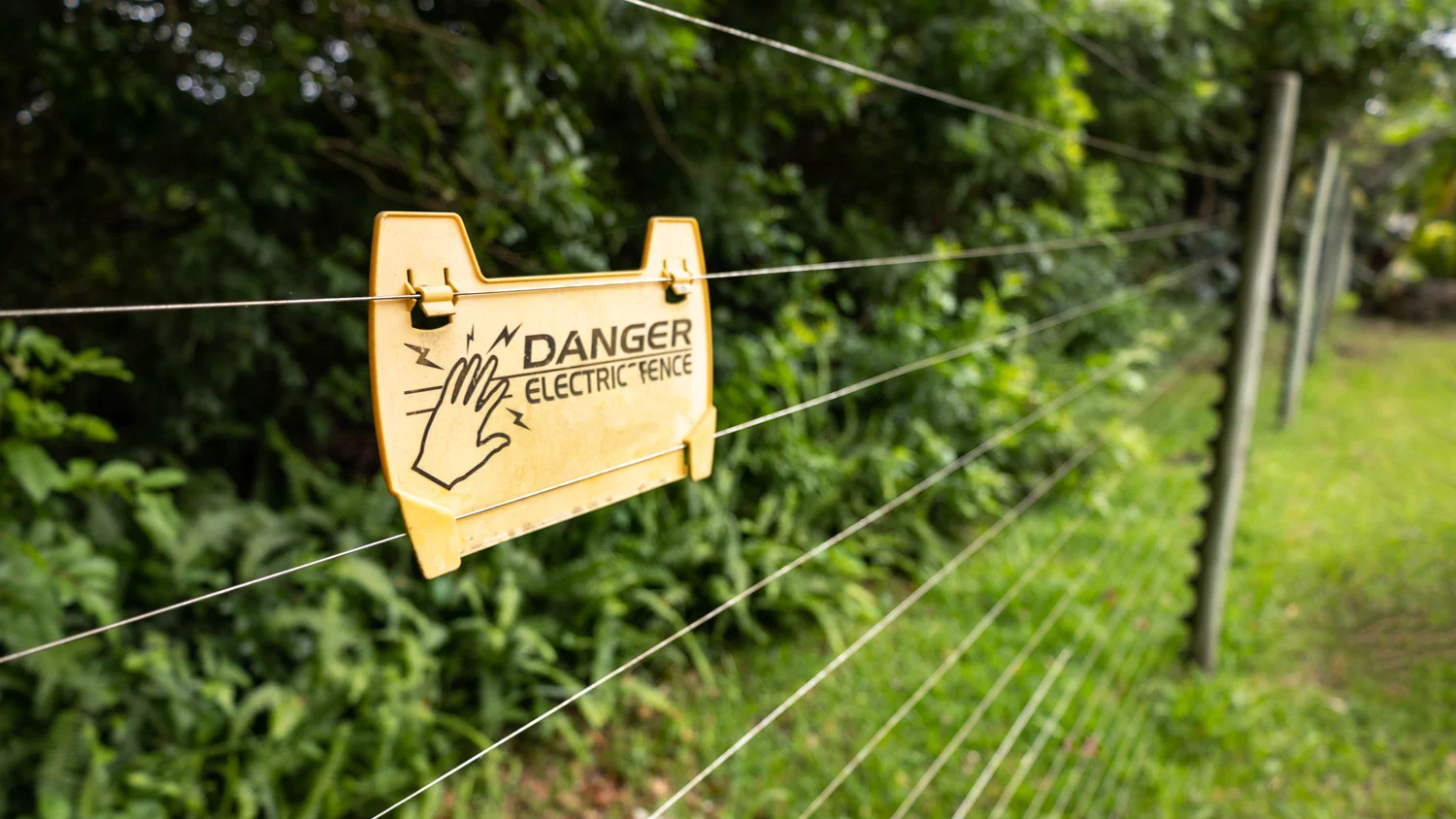 Electric Fence